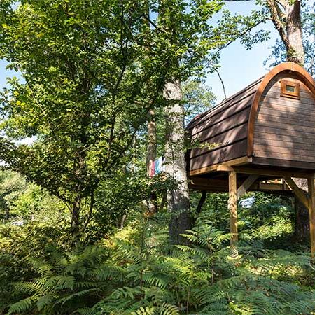 Photo d'une cabane dans les arbres au camping du lac des Vieilles Forges