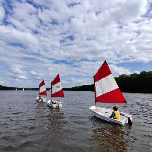 Photo de trois optimists sur le lac des Vieilles Forges